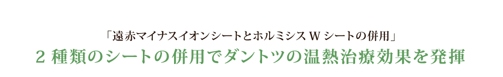 特注品との併用でダントツの温熱治療効果を発揮